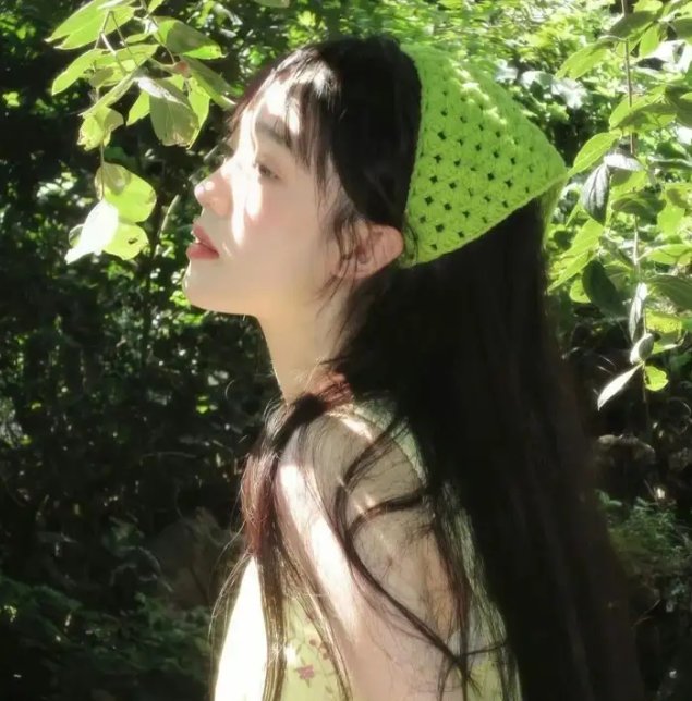 红色康乃馨